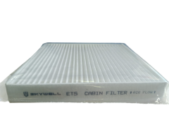 Karbonlu Polen Filtresi - Skywell - ET 5