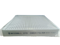 Karbonlu Polen Filtresi - Skywell - ET 5