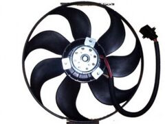 Fan Büyük - Beetle - 2000 - 2001