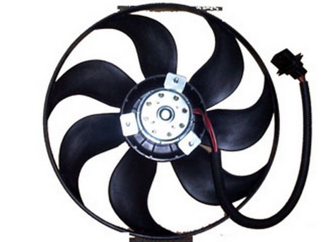 Fan Büyük - Golf - 2000 - 2006