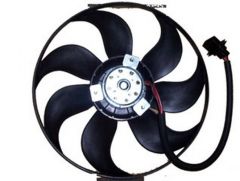 Fan Büyük - Golf - 2000 - 2006