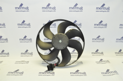 Fan Ters - Beetle - 2000 - 2010
